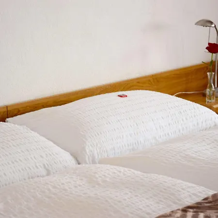 Pazzola Hotel Disentis