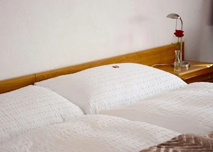 Pazzola Otel Disentis